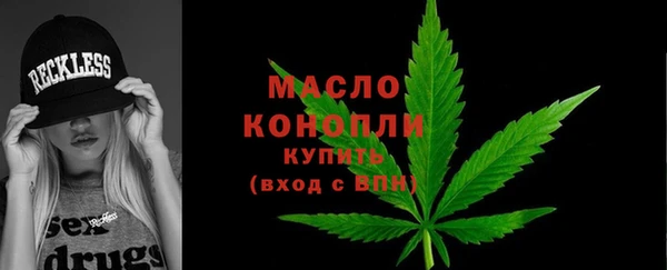 гидра Осинники