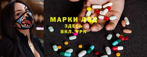 гидра Осинники