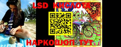 гашик Кимры