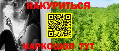 шишки Кинель
