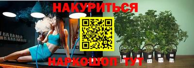 гашик Кимры