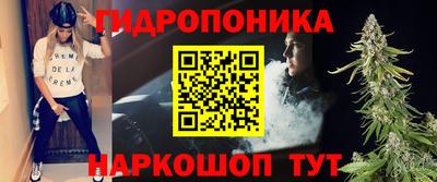 гашик Кимры