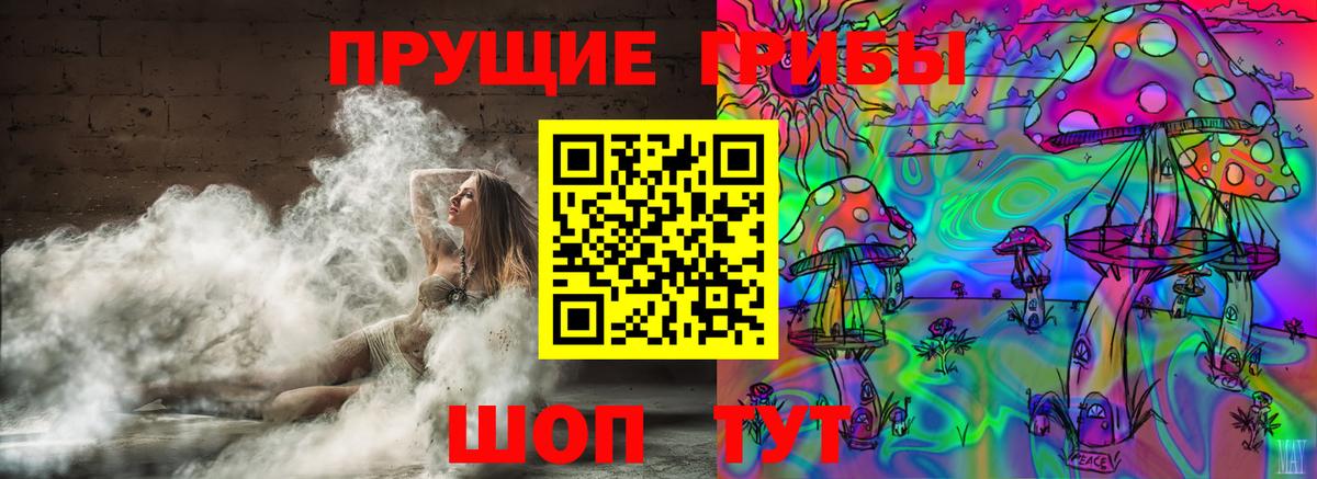 Коломна  Псилоцибиновые грибы GOLDEN TEACHER  Вход с VPN 